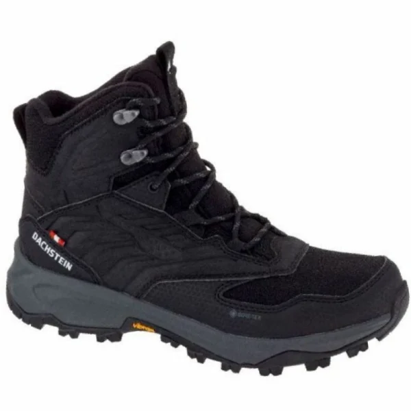 Coupon ✨ Dachstein Arctic Peak Mc GTX – Chaussures randonnée homme 🔥 luxe soldes 1