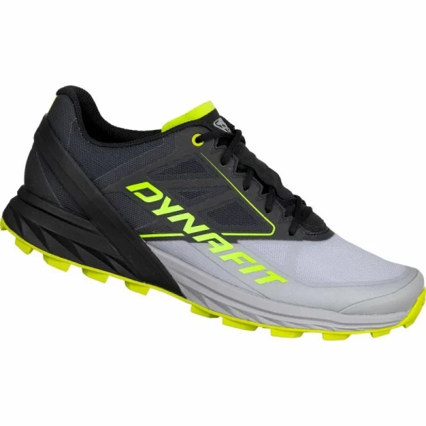 Vente flash 👍 Dynafit Alpine – Chaussures trail homme ✔️ en ligne 1